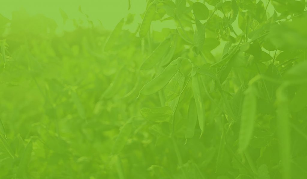 Vitatech Health