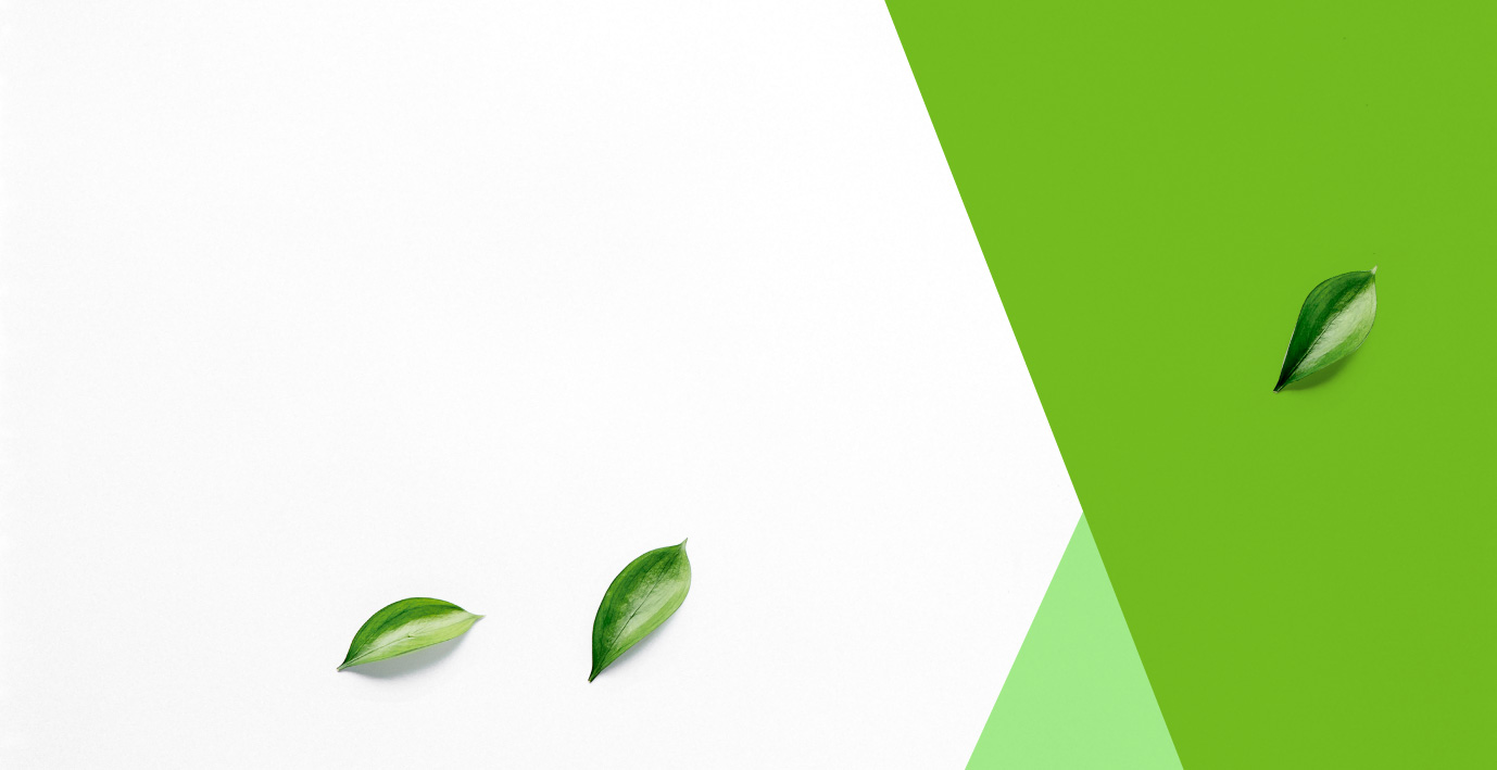 Green and white background with leaves
